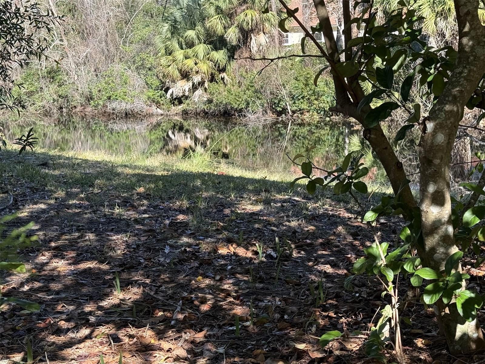 77 WELLSTREAM LN, PALM COAST, FL, 32164