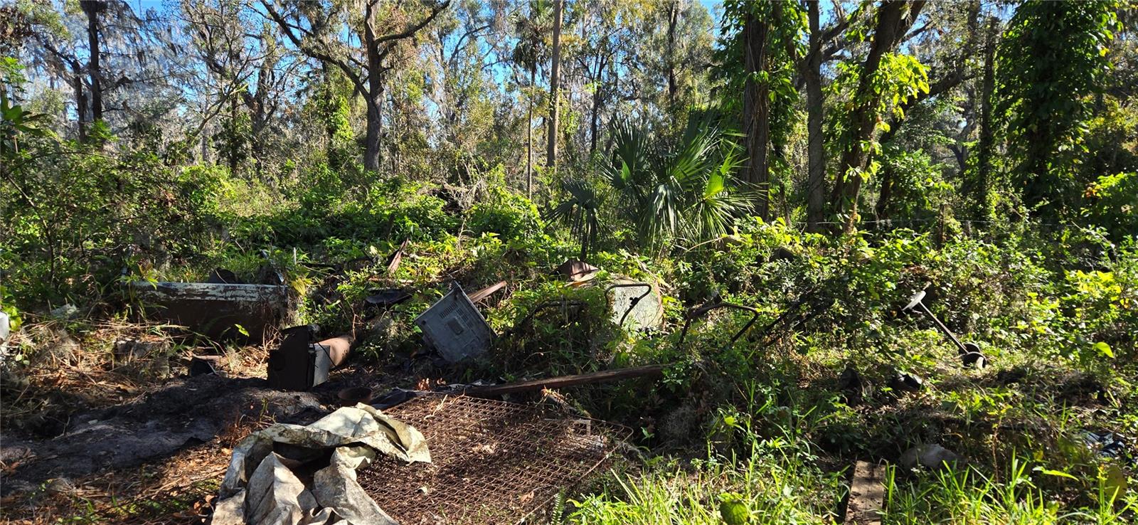 7906 TURKEY CREEK RD, PLANT CITY, FL, 33567