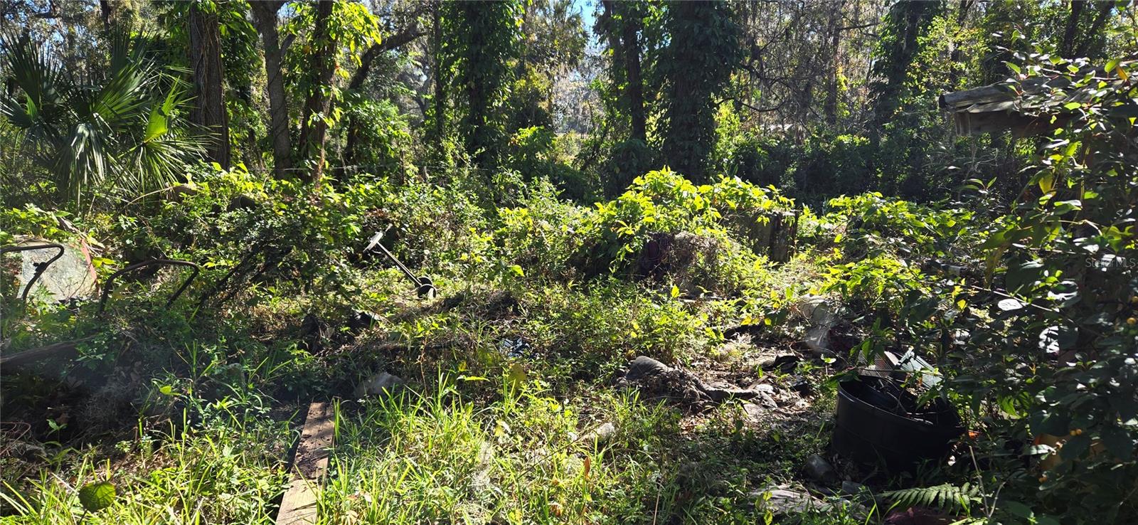 7906 TURKEY CREEK RD, PLANT CITY, FL, 33567