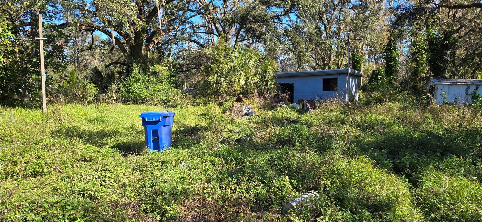 7906 TURKEY CREEK RD, PLANT CITY, FL, 33567
