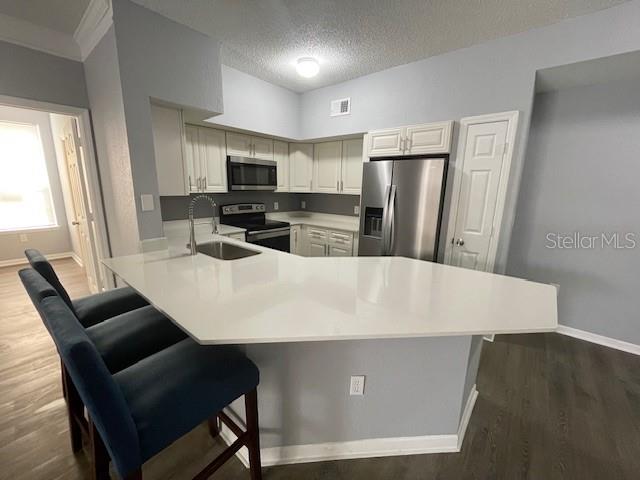 13003 PLANTATION PARK CIR. #1317, ORLANDO, FL, 32821