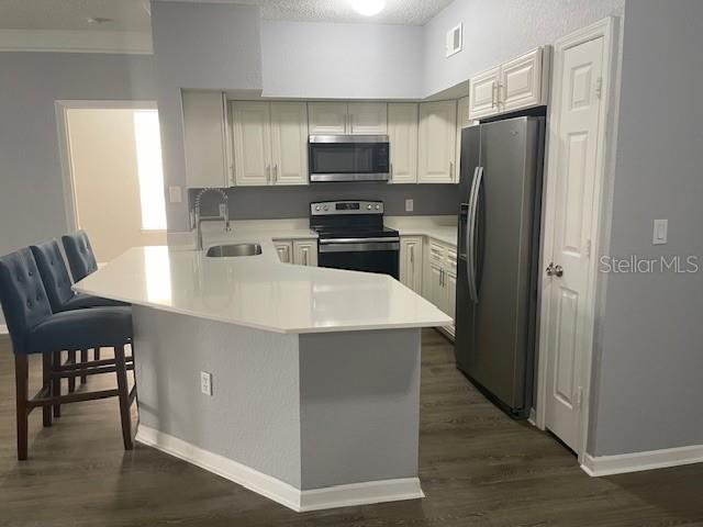 13003 PLANTATION PARK CIR. #1317, ORLANDO, FL, 32821