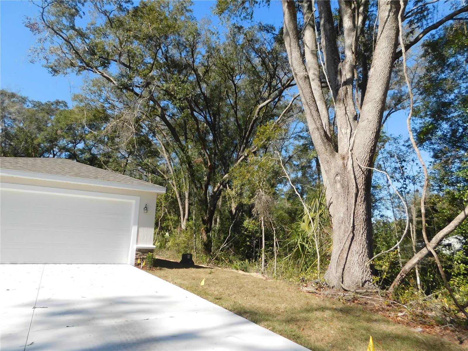 14268 SE 27TH CT, SUMMERFIELD, FL, 34491