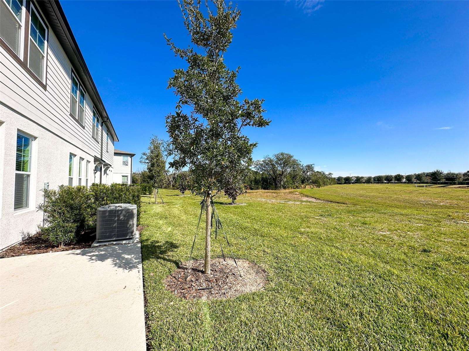 1665 SANIBEL DR, DAVENPORT, FL, 33896