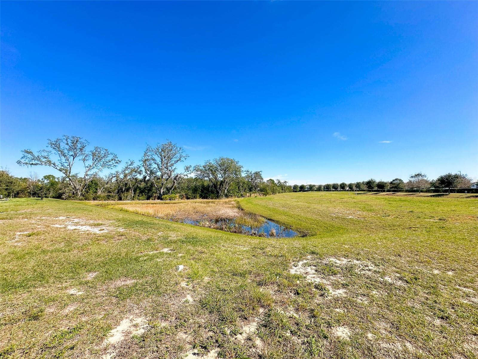 1665 SANIBEL DR, DAVENPORT, FL, 33896