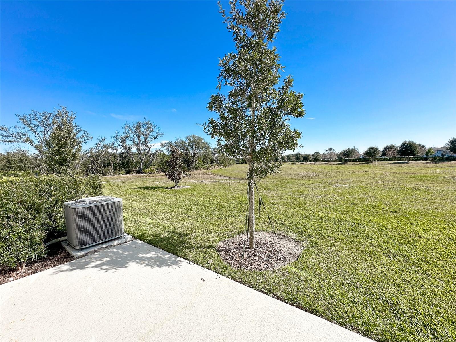 1665 SANIBEL DR, DAVENPORT, FL, 33896
