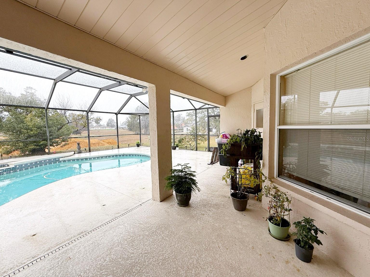 5465 CHESTNUT RIDGE RD, DADE CITY, FL, 33523