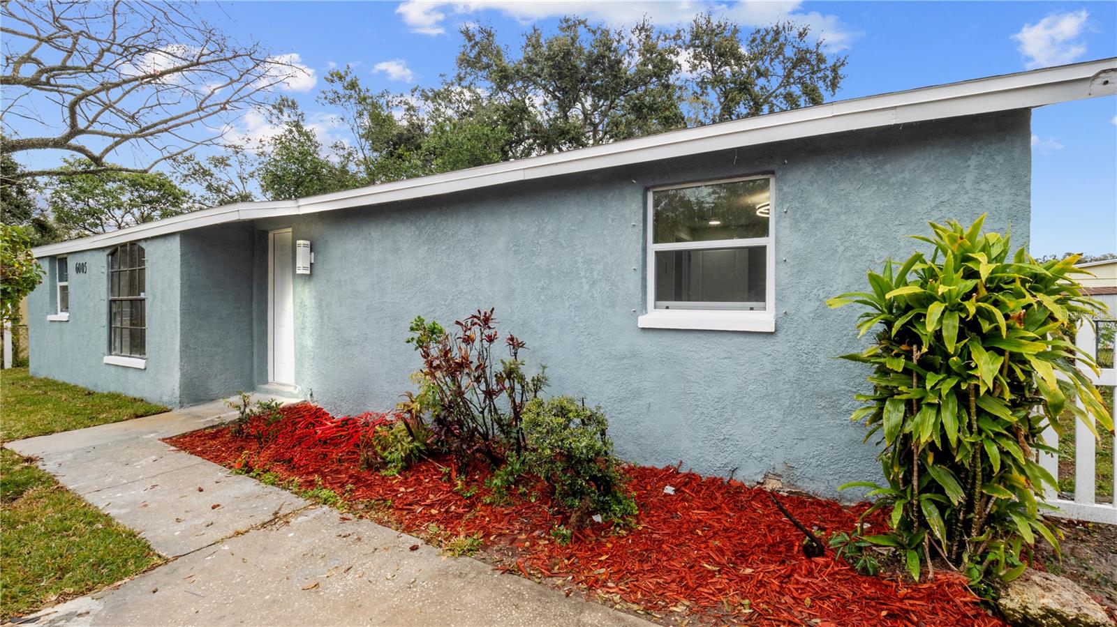 6005 N 39TH ST, TAMPA, FL, 33610