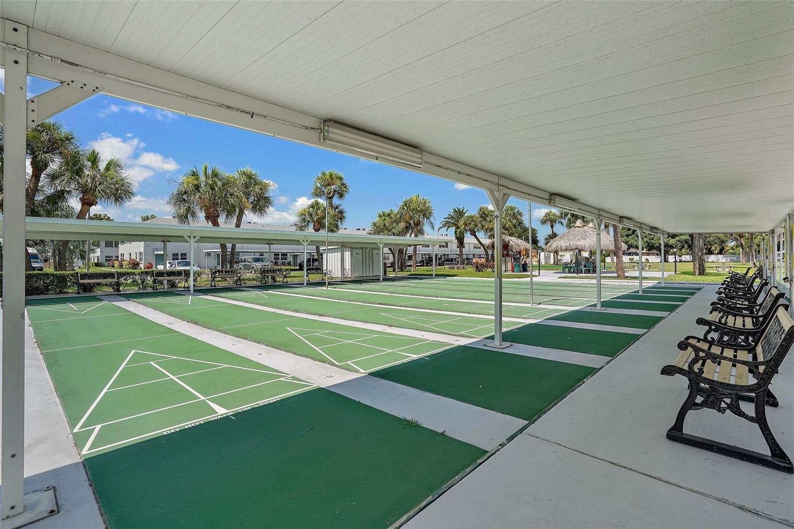 5267 81ST ST N #5, ST PETERSBURG, FL, 33709
