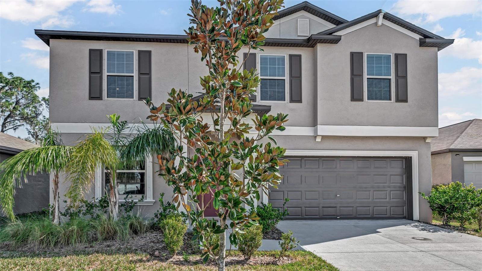 12905 WILDFLOWER MEADOW DR, RIVERVIEW, FL, 33579