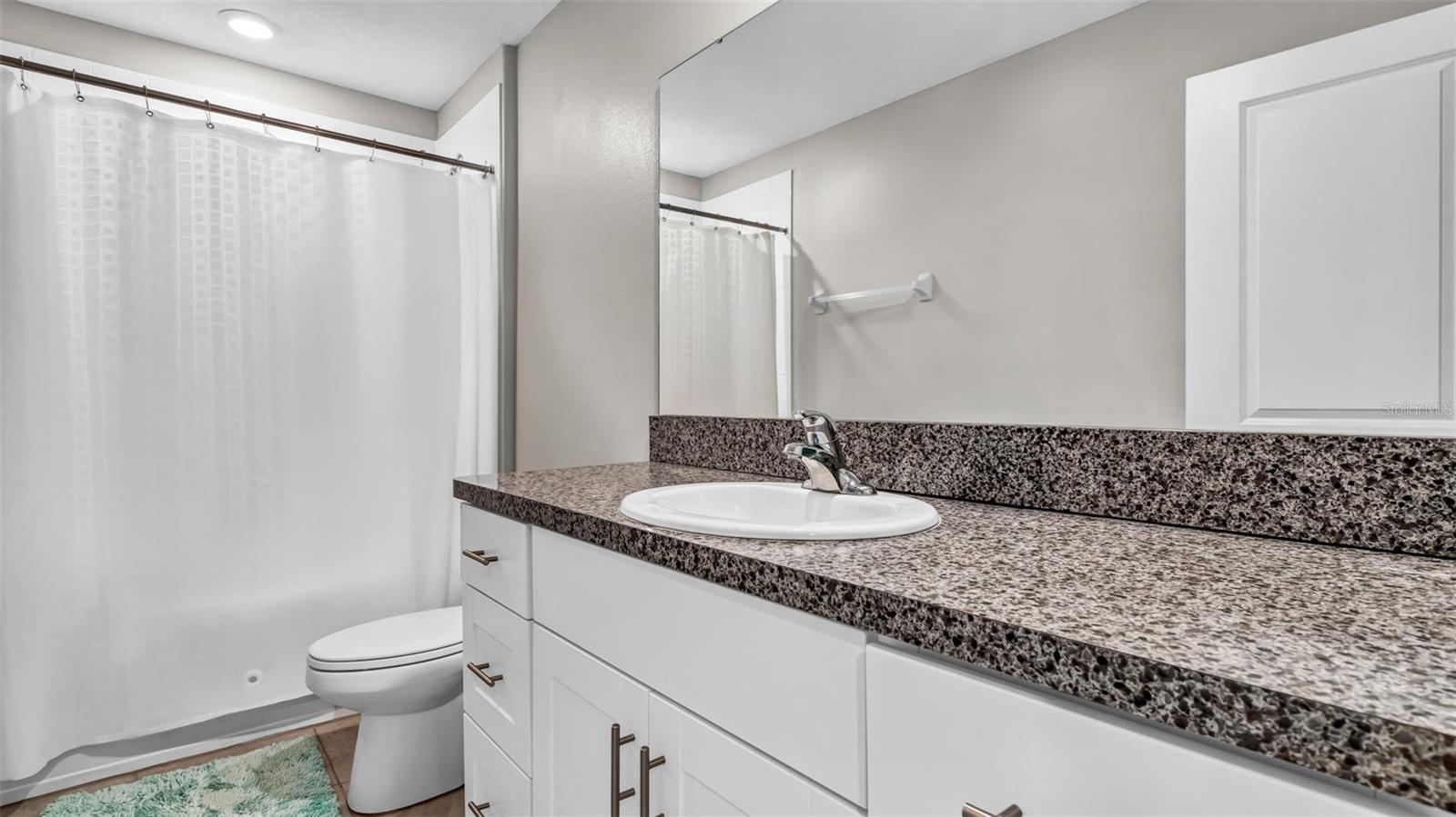 12905 WILDFLOWER MEADOW DR, RIVERVIEW, FL, 33579