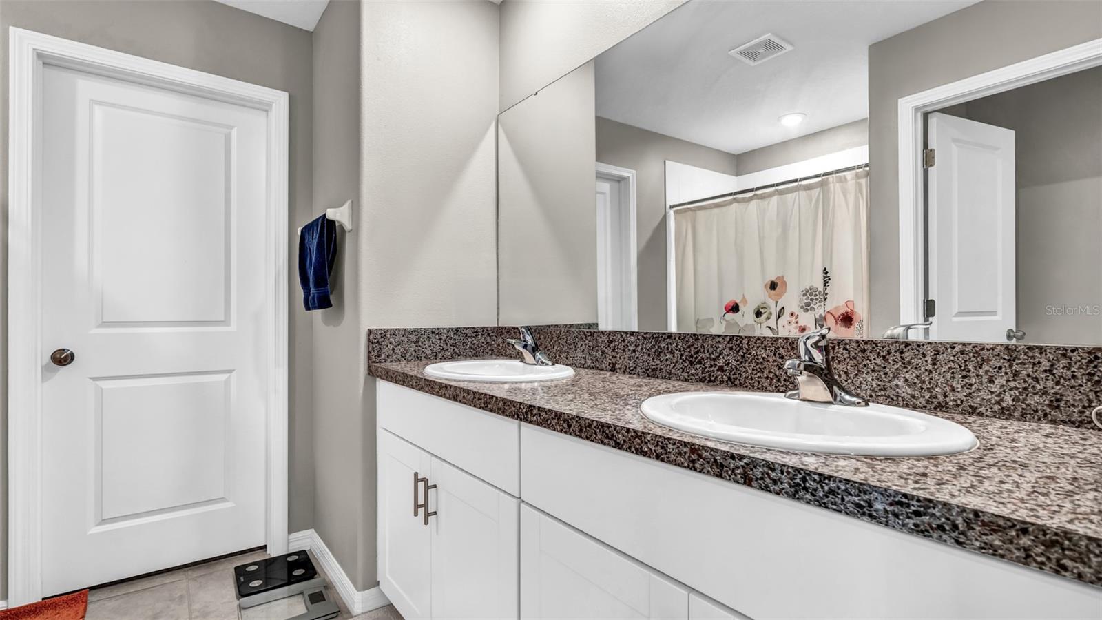 12905 WILDFLOWER MEADOW DR, RIVERVIEW, FL, 33579