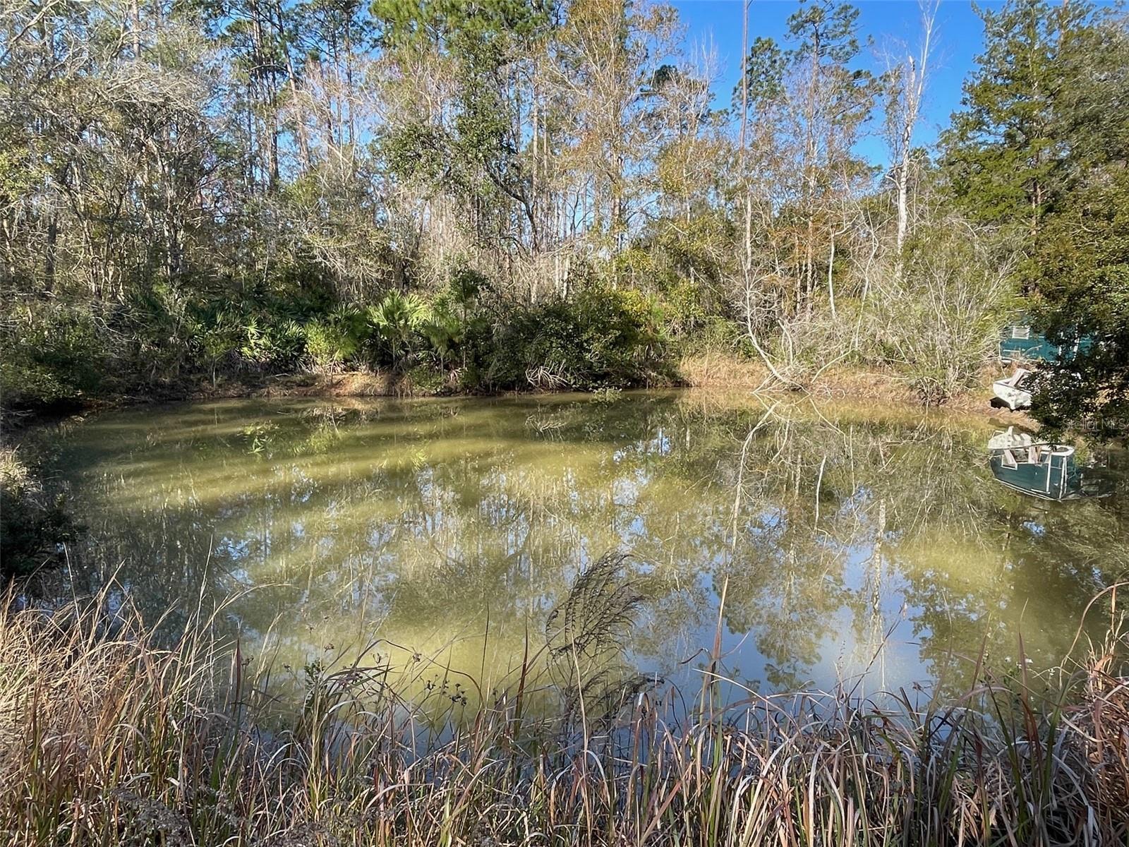 1760 HONEYTREE ST, BUNNELL, FL, 32110