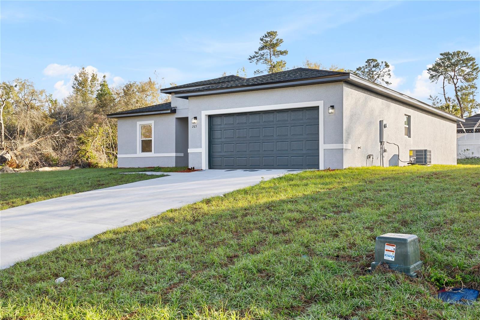 265 MARION OAKS MNR, OCALA, FL, 34473