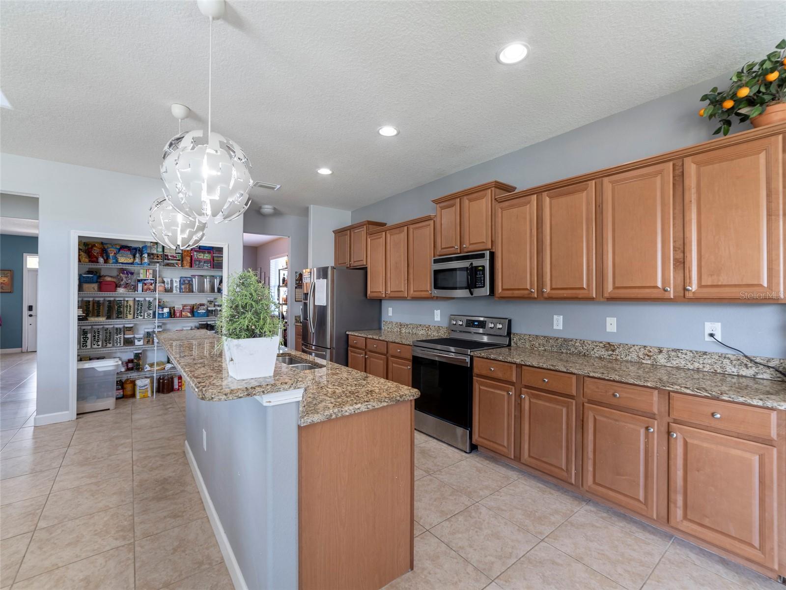 13458 GRAHAM YARDEN DR, RIVERVIEW, FL, 33579
