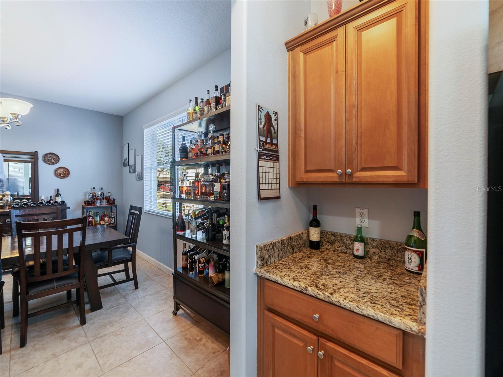 13458 GRAHAM YARDEN DR, RIVERVIEW, FL, 33579