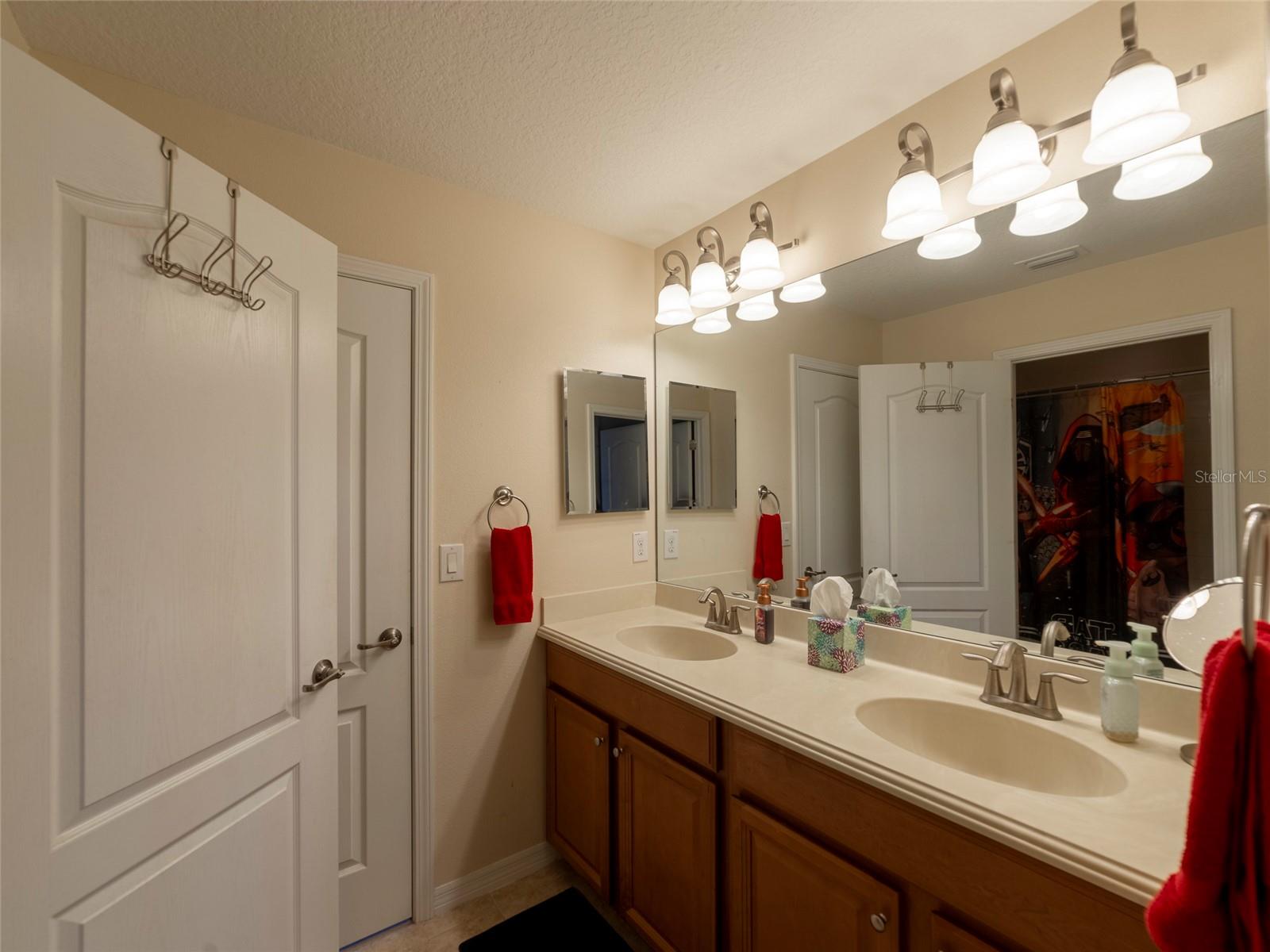 13458 GRAHAM YARDEN DR, RIVERVIEW, FL, 33579