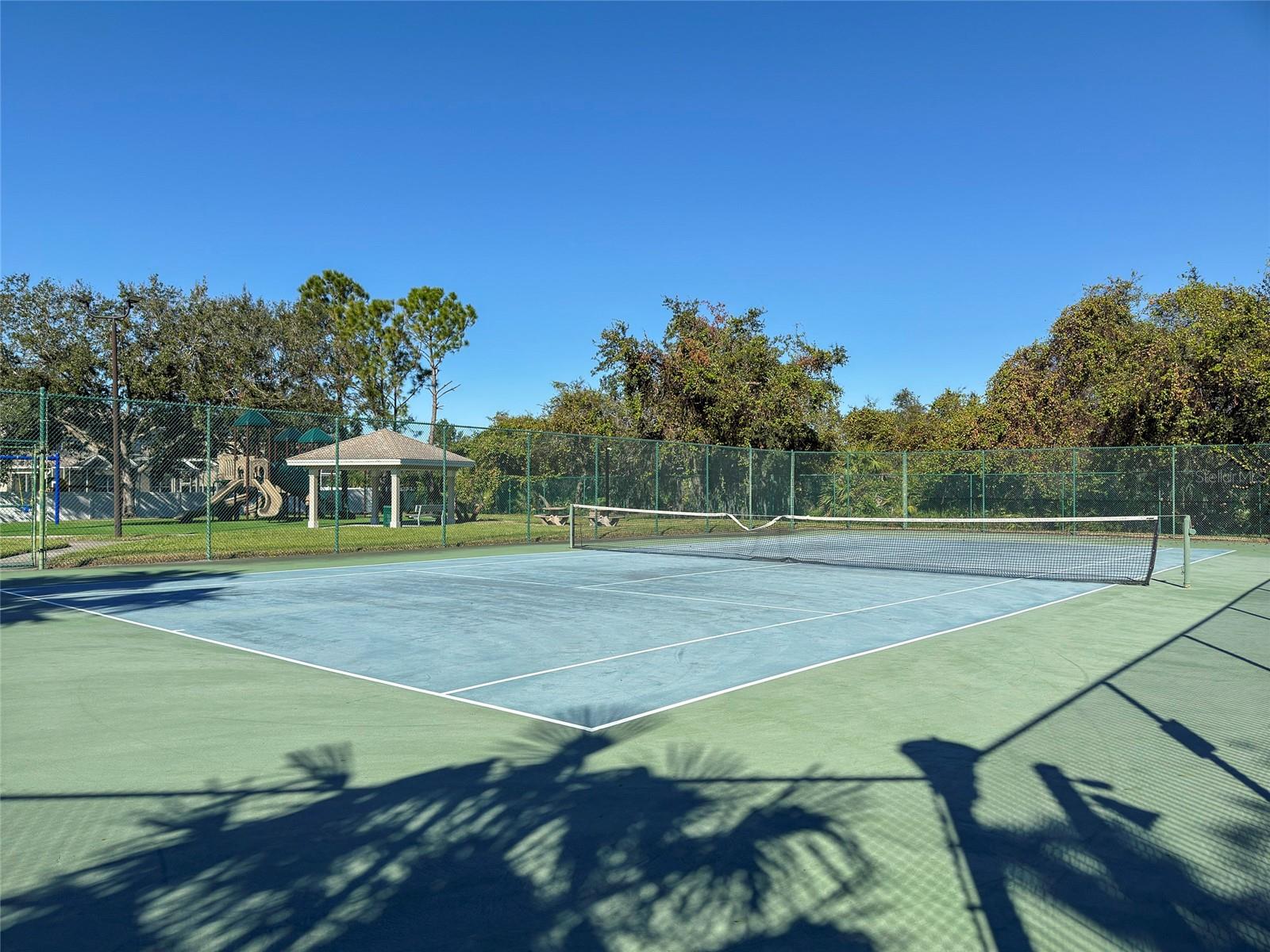 13458 GRAHAM YARDEN DR, RIVERVIEW, FL, 33579