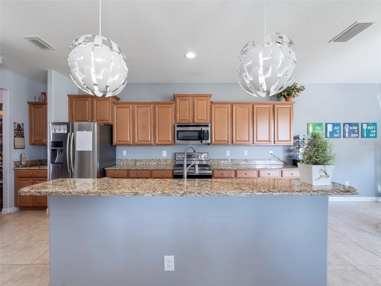 13458 GRAHAM YARDEN DR, RIVERVIEW, FL, 33579
