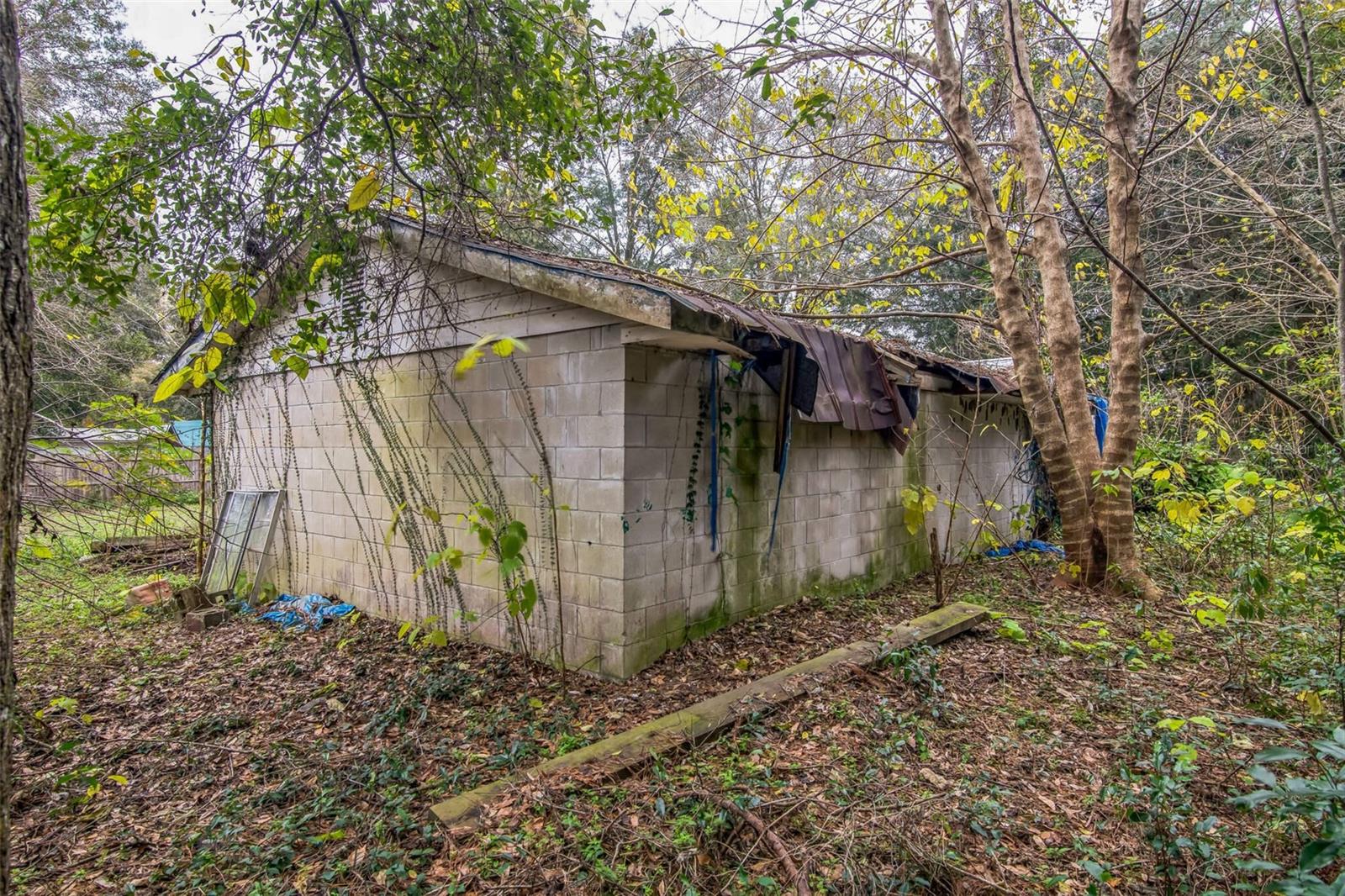14750 NW 42ND CT, REDDICK, FL, 32686