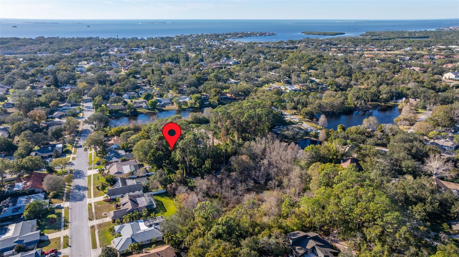 1302 ALMARIA CT, PALM HARBOR, FL, 34683