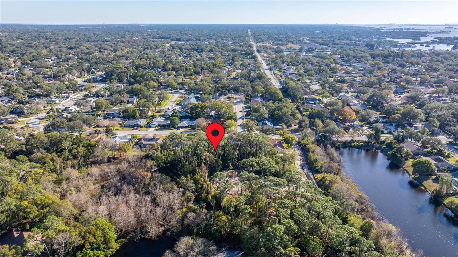 1302 ALMARIA CT, PALM HARBOR, FL, 34683