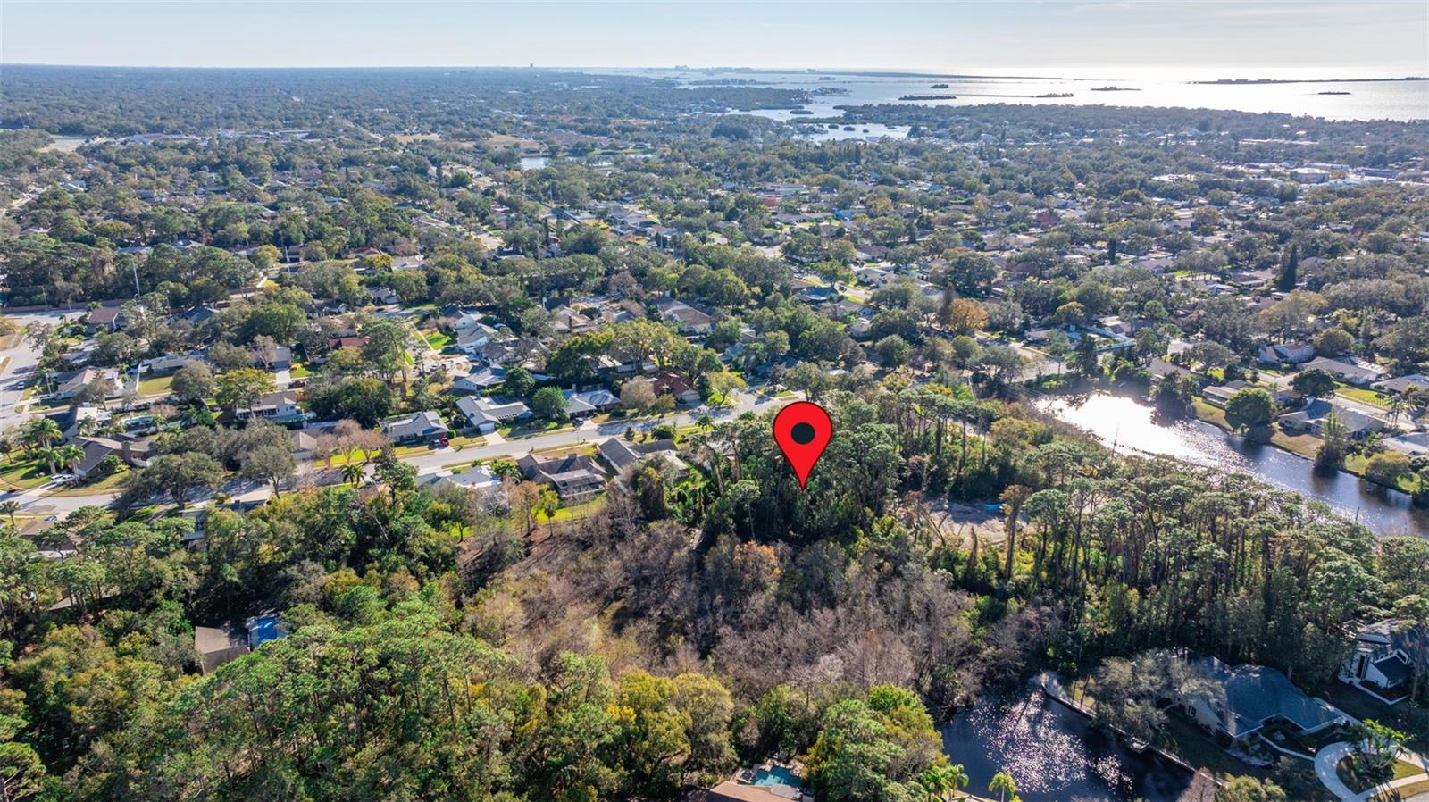 1302 ALMARIA CT, PALM HARBOR, FL, 34683