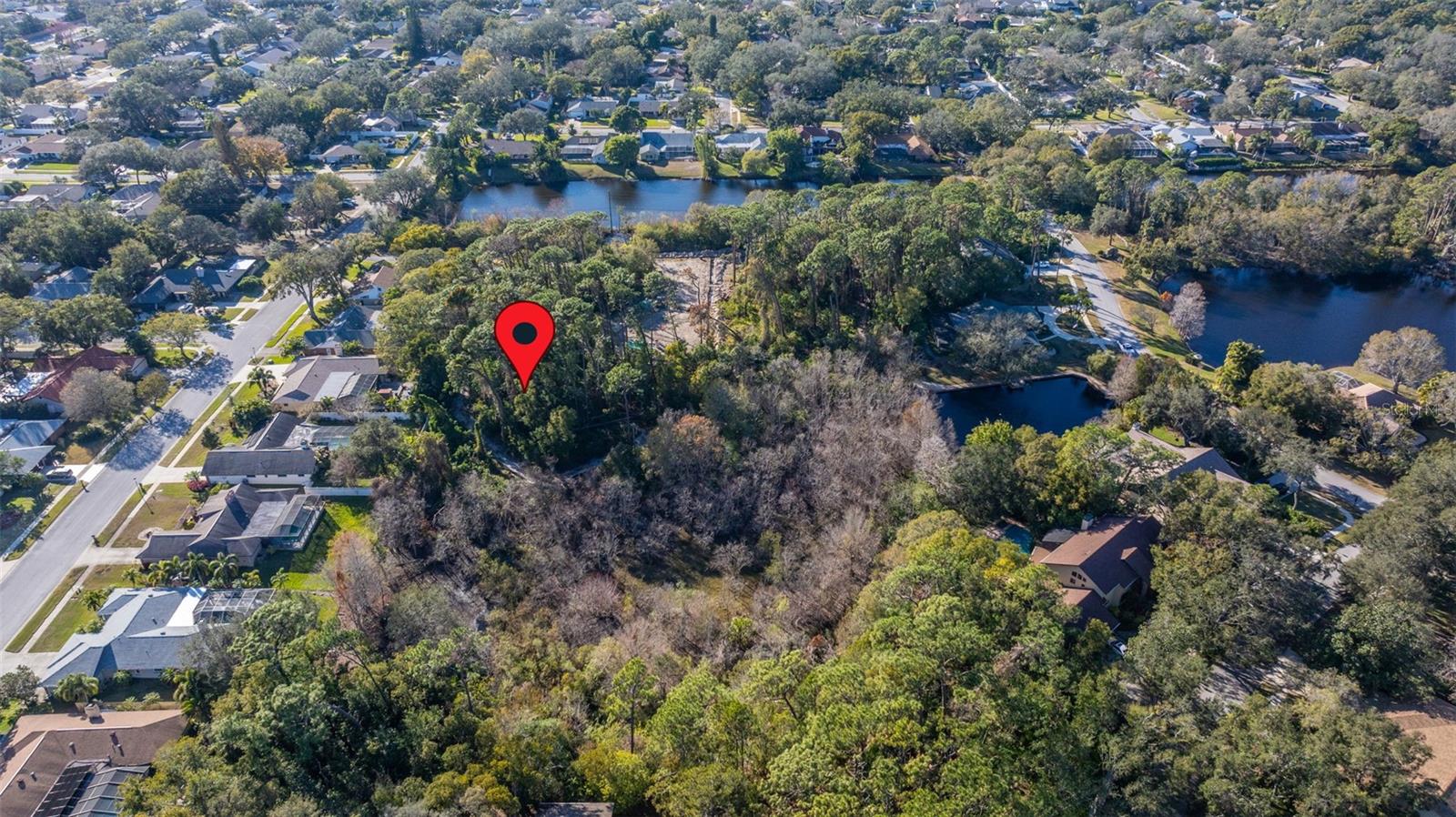 1302 ALMARIA CT, PALM HARBOR, FL, 34683