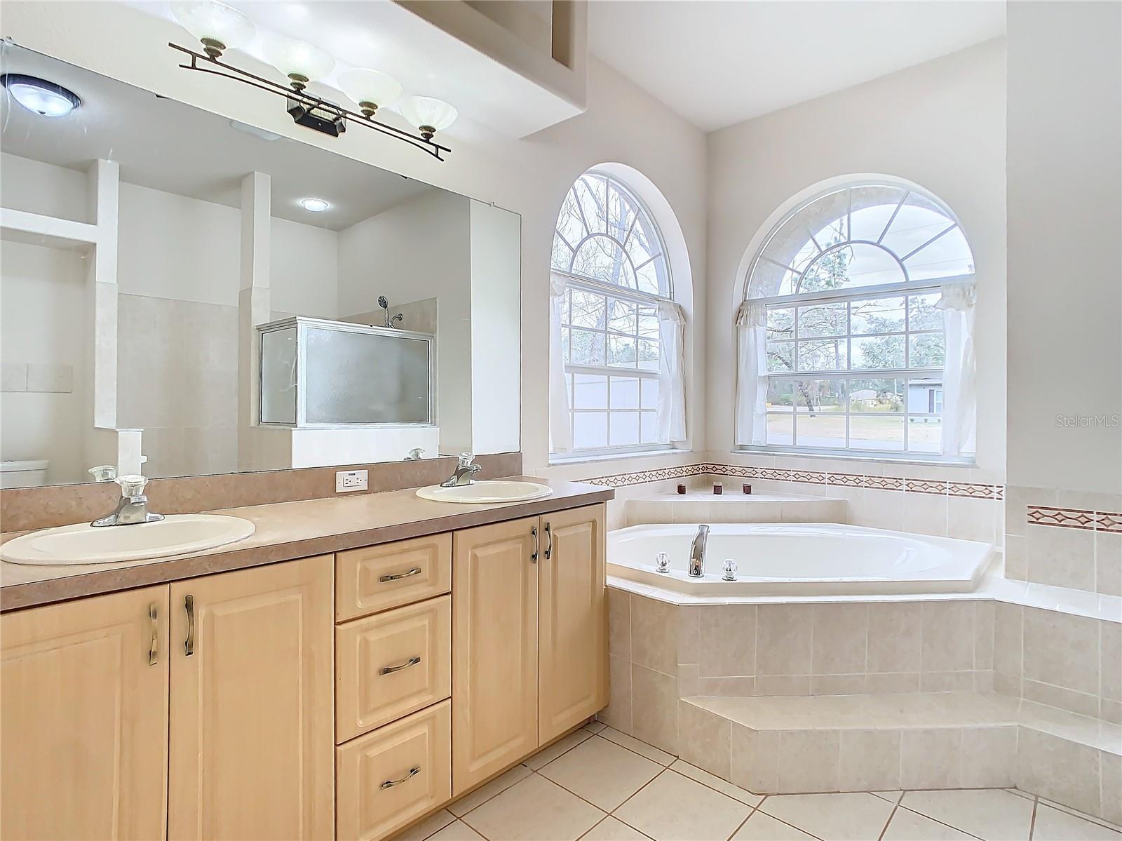 12312 MILLINGTON AVE, WEEKI WACHEE, FL, 34614