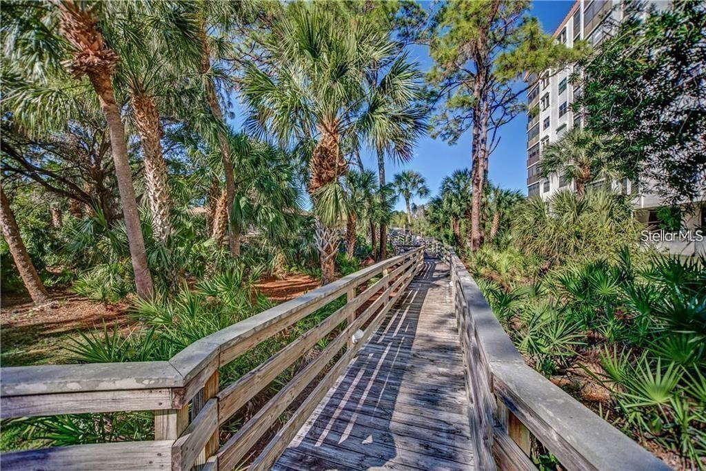 5400 PARK ST N #209, ST PETERSBURG, FL, 33709