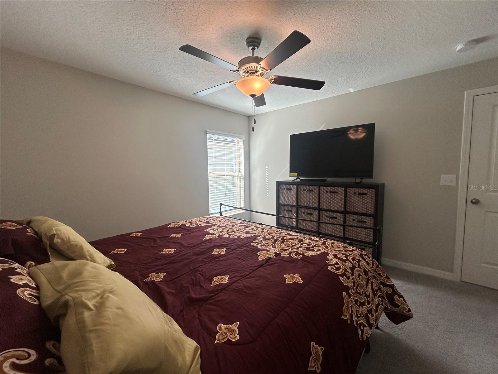 10814 CRUSHED GRAPE DR, RIVERVIEW, FL, 33578