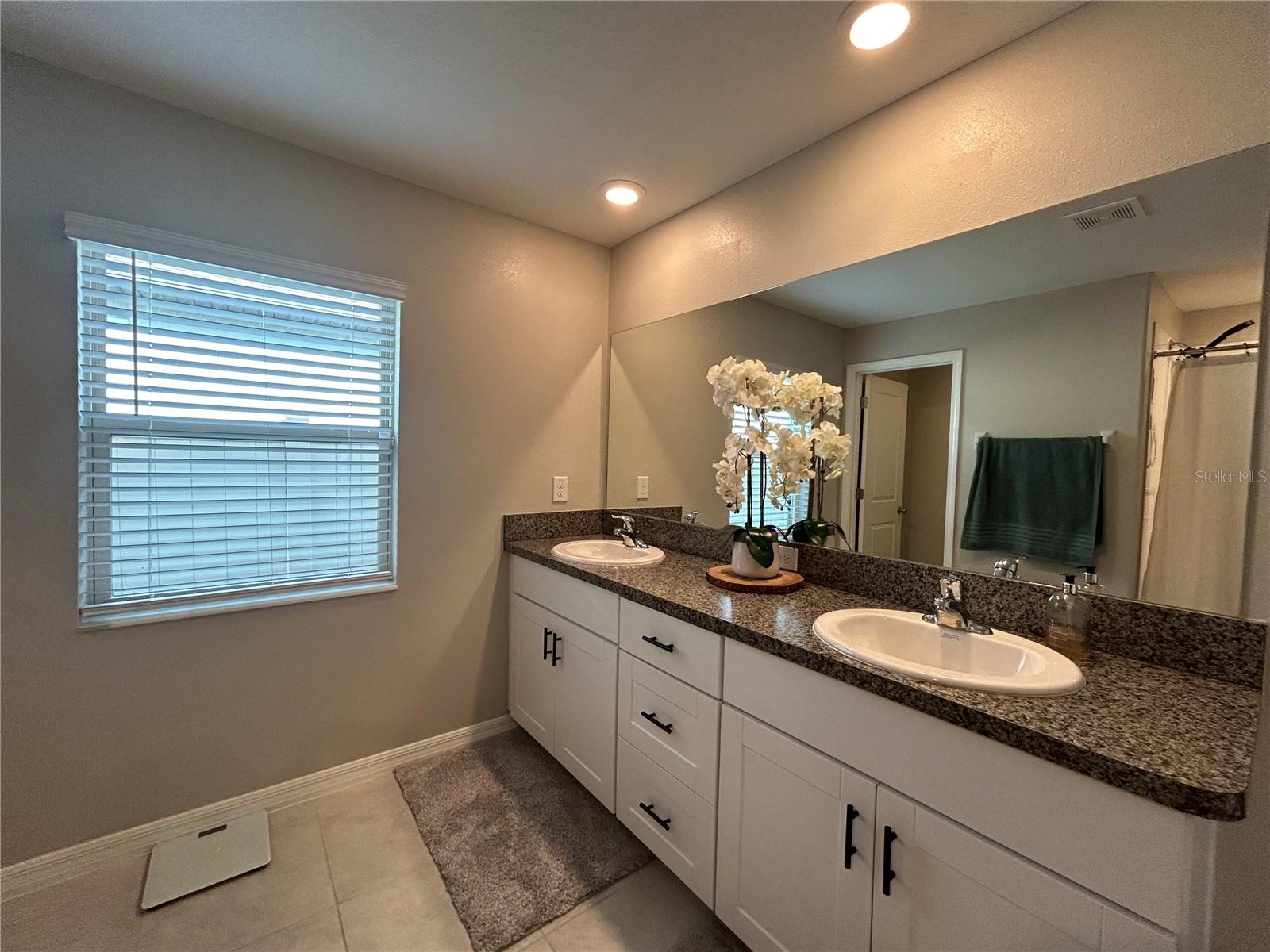 10814 CRUSHED GRAPE DR, RIVERVIEW, FL, 33578