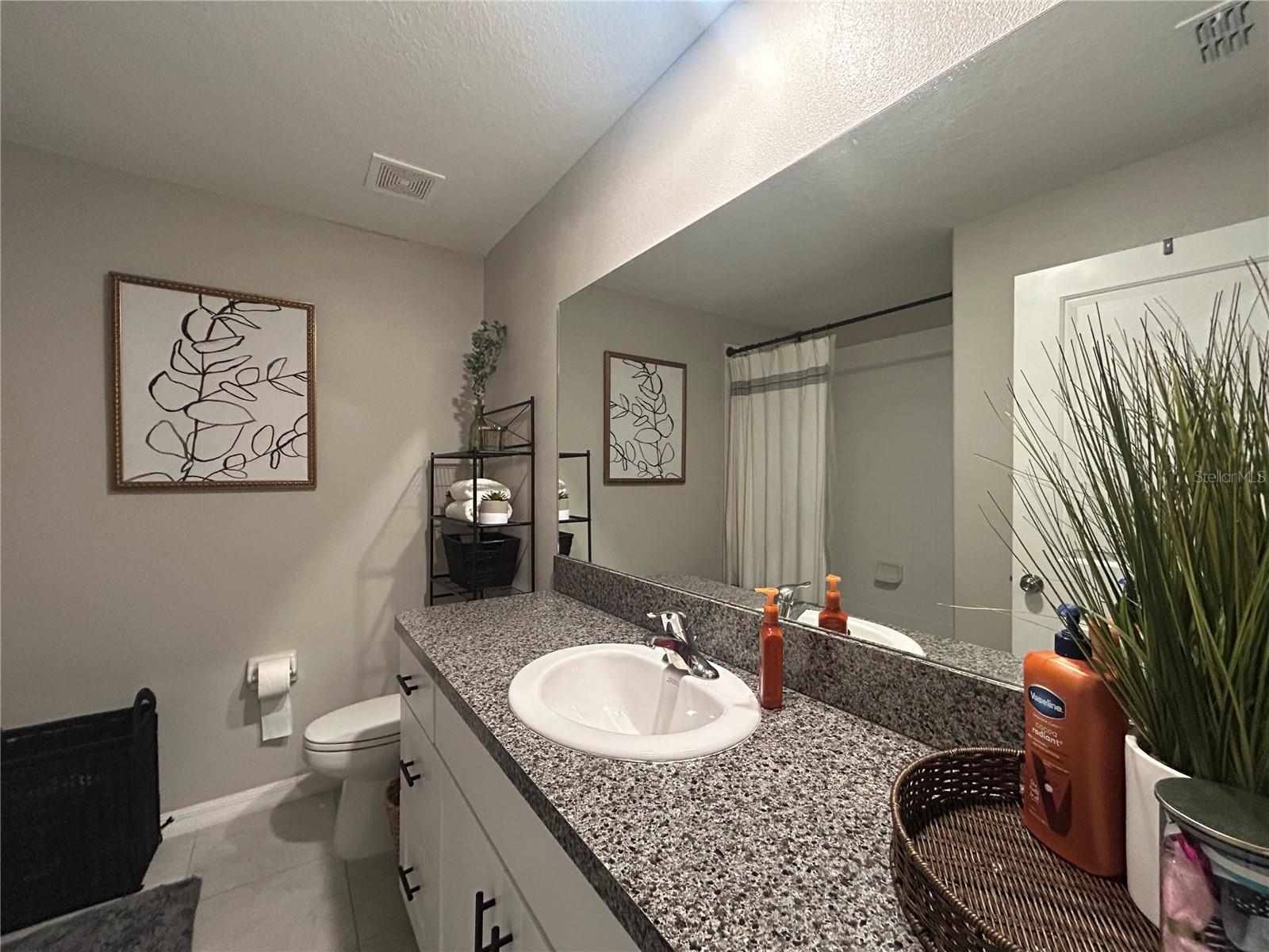 10814 CRUSHED GRAPE DR, RIVERVIEW, FL, 33578