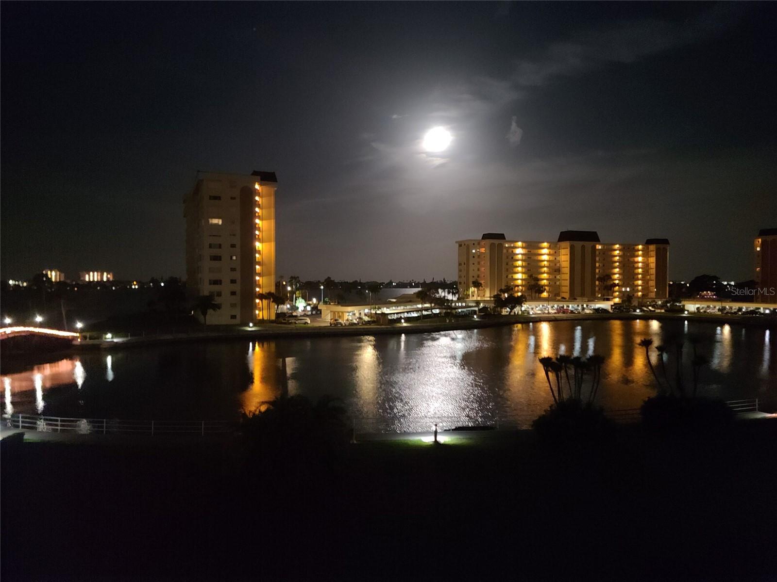 4575 COVE CIR #407, ST PETERSBURG, FL, 33708