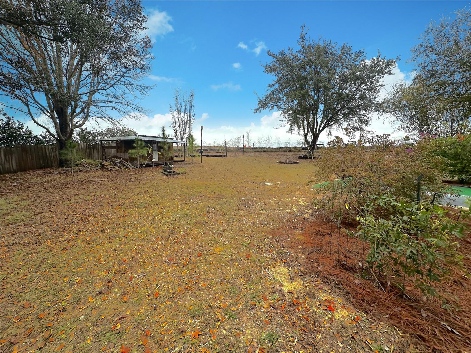 11307 MANDARIN DR, CLERMONT, FL, 34711