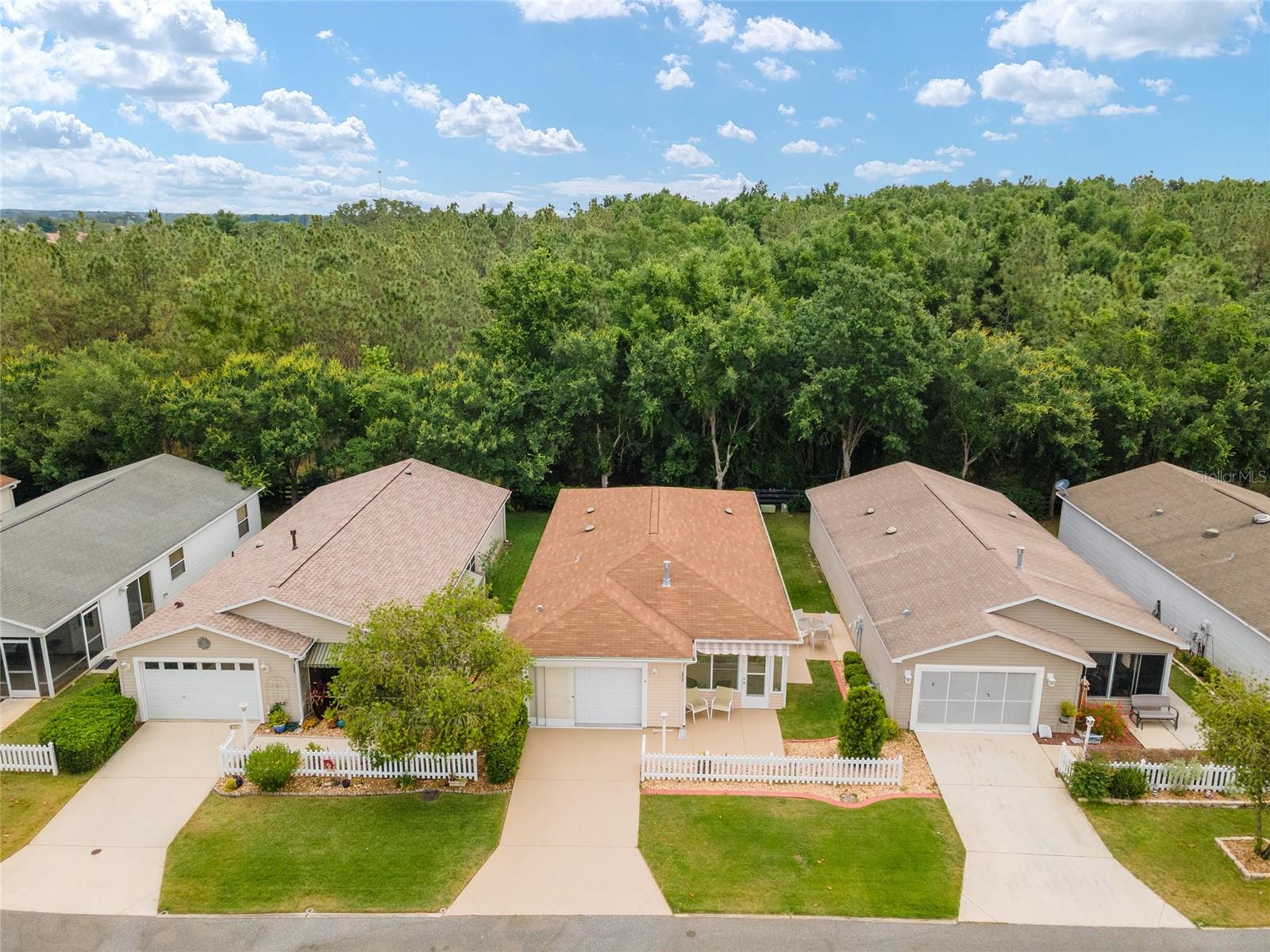 317 EMMALEE PL, THE VILLAGES, FL, 32162