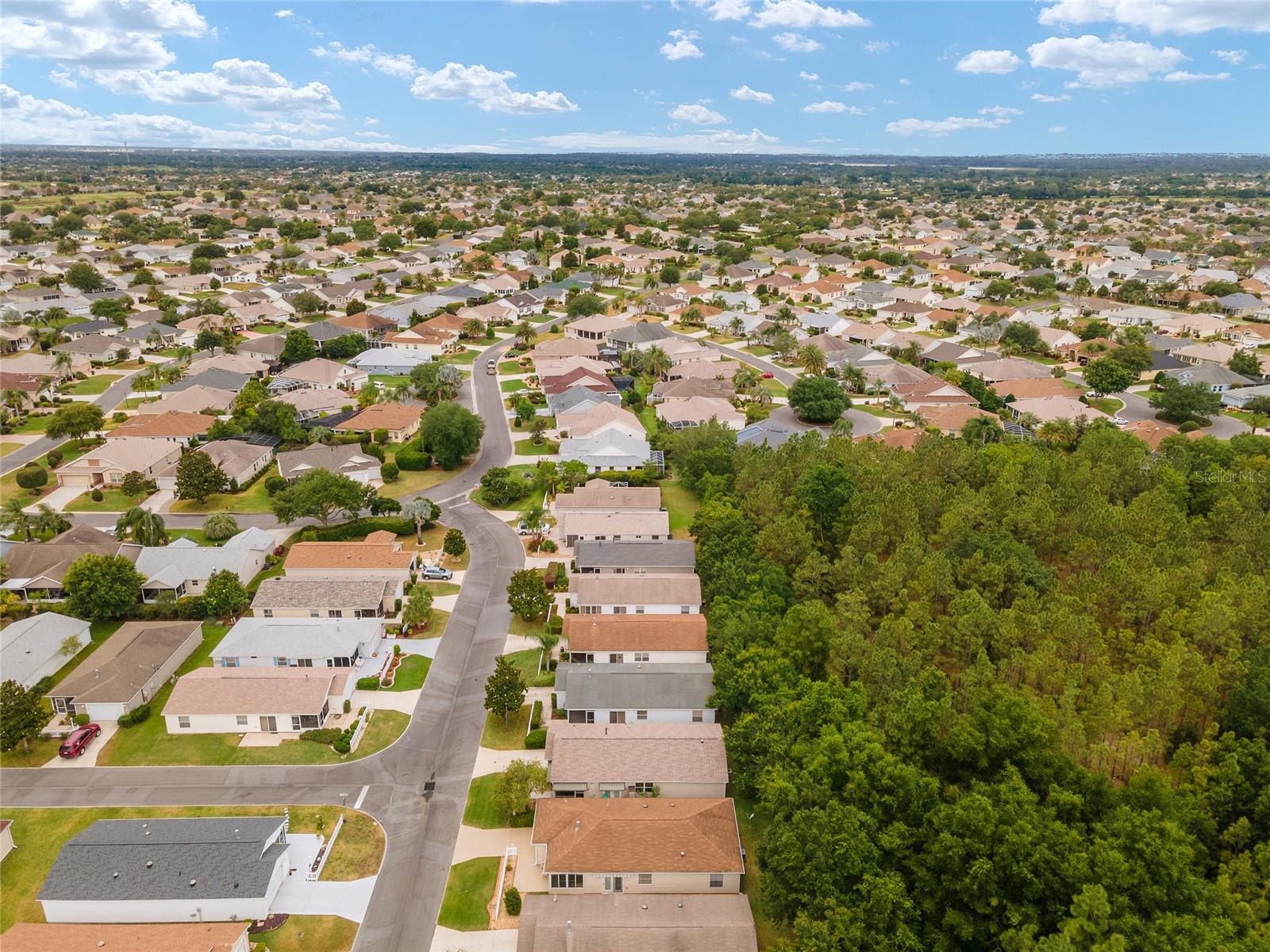 317 EMMALEE PL, THE VILLAGES, FL, 32162