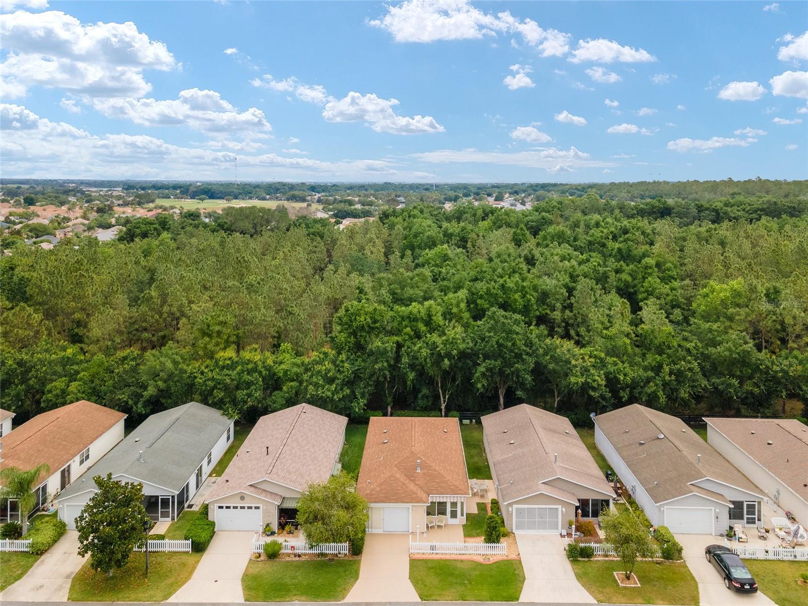 317 EMMALEE PL, THE VILLAGES, FL, 32162