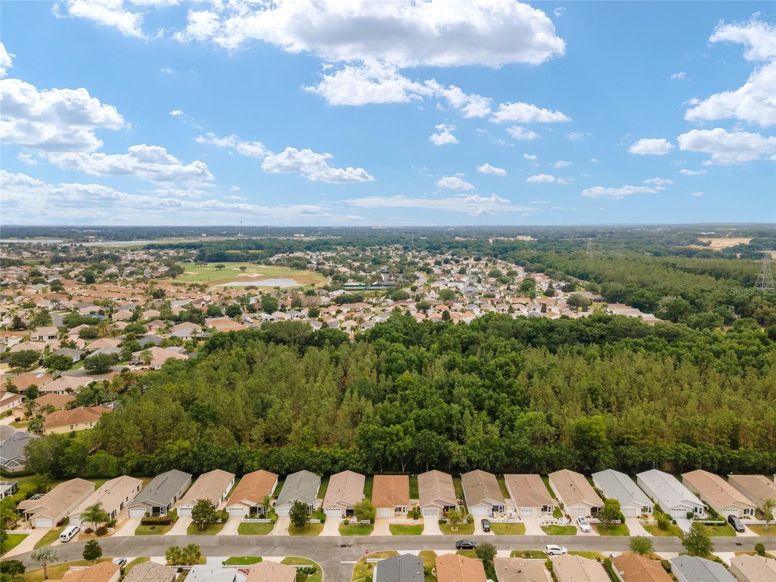 317 EMMALEE PL, THE VILLAGES, FL, 32162