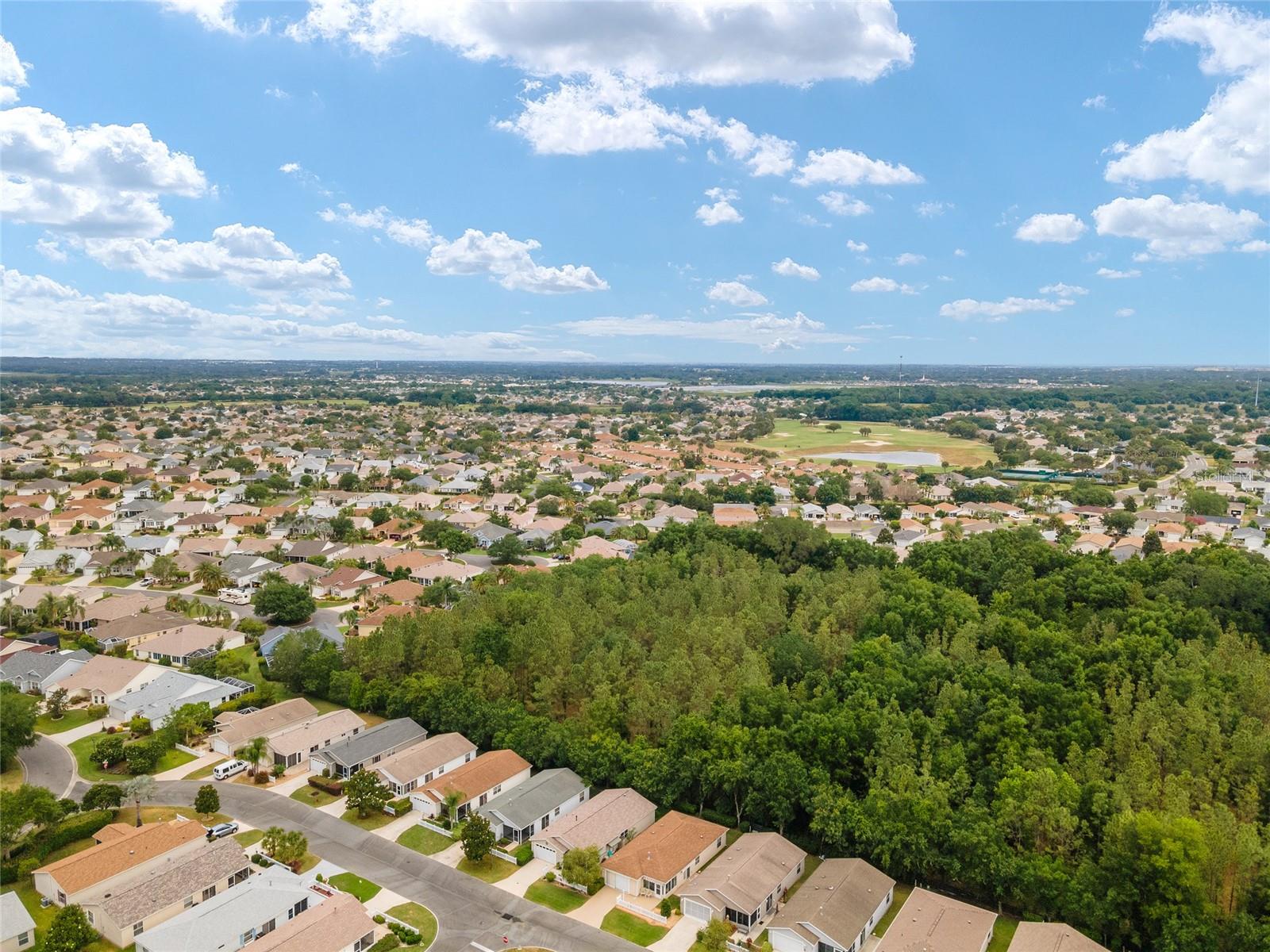 317 EMMALEE PL, THE VILLAGES, FL, 32162