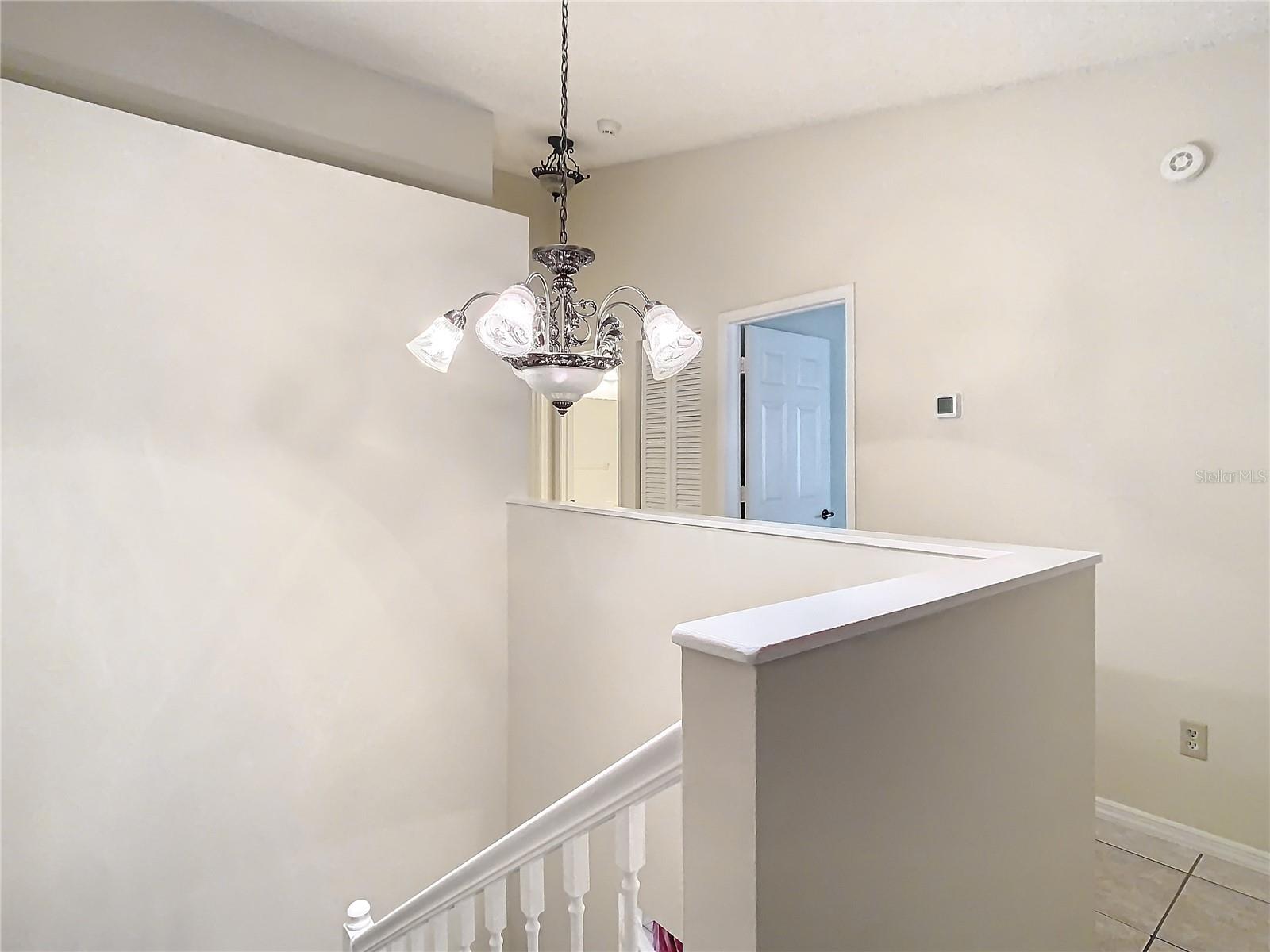 5832 RED CEDAR LN, TAMPA, FL, 33625