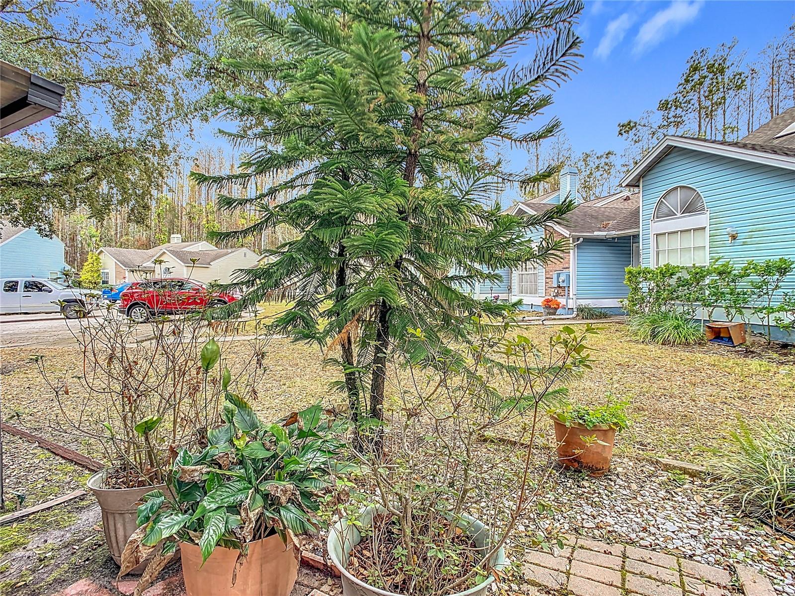 5832 RED CEDAR LN, TAMPA, FL, 33625