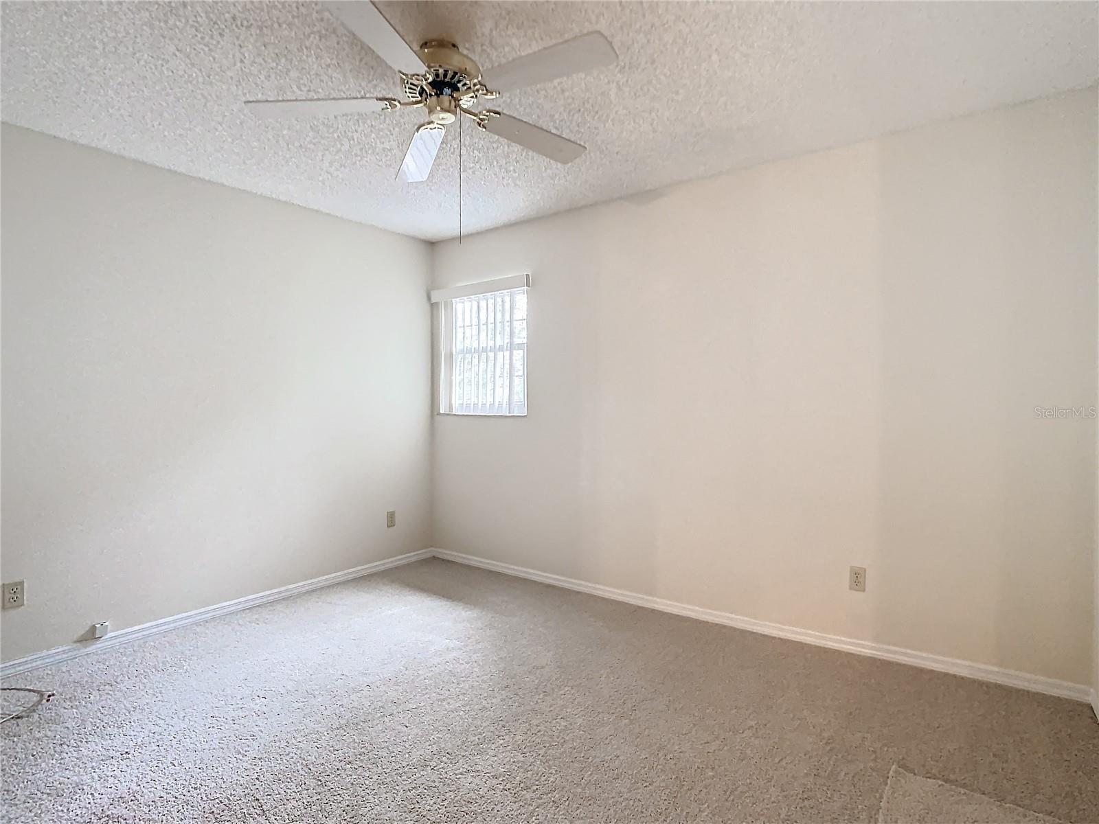 5832 RED CEDAR LN, TAMPA, FL, 33625