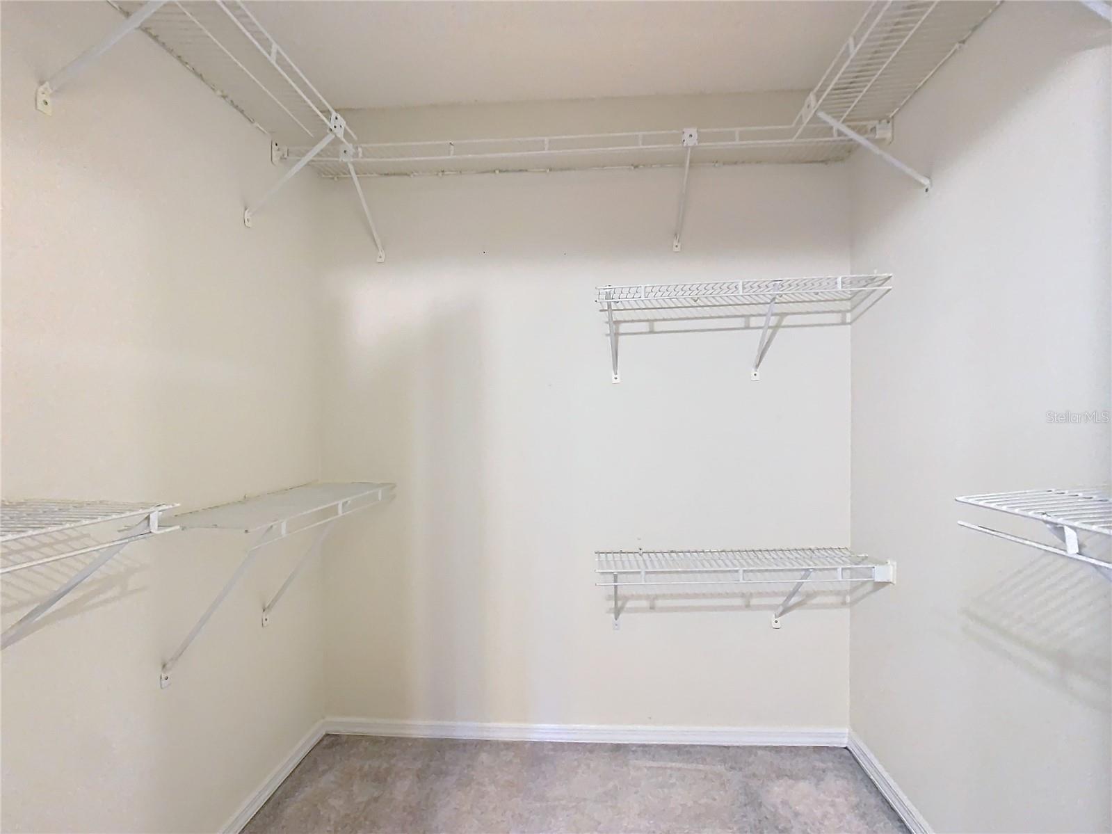 5832 RED CEDAR LN, TAMPA, FL, 33625