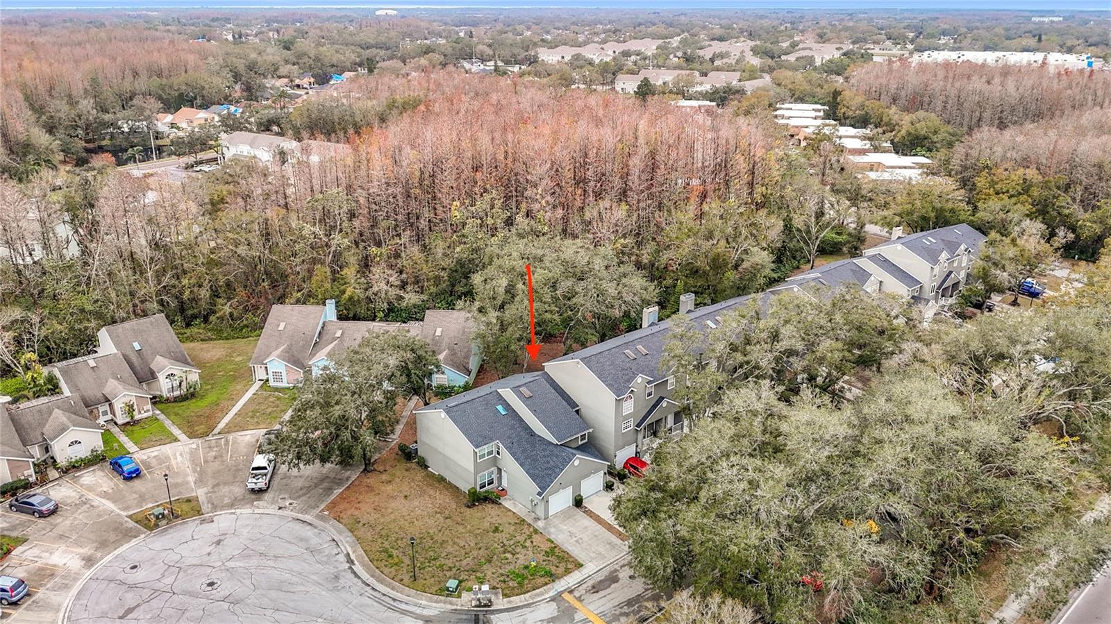 5832 RED CEDAR LN, TAMPA, FL, 33625