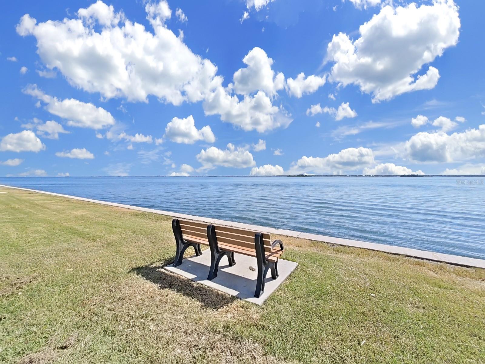 8 GLENCOE PL #208, DUNEDIN, FL, 34698