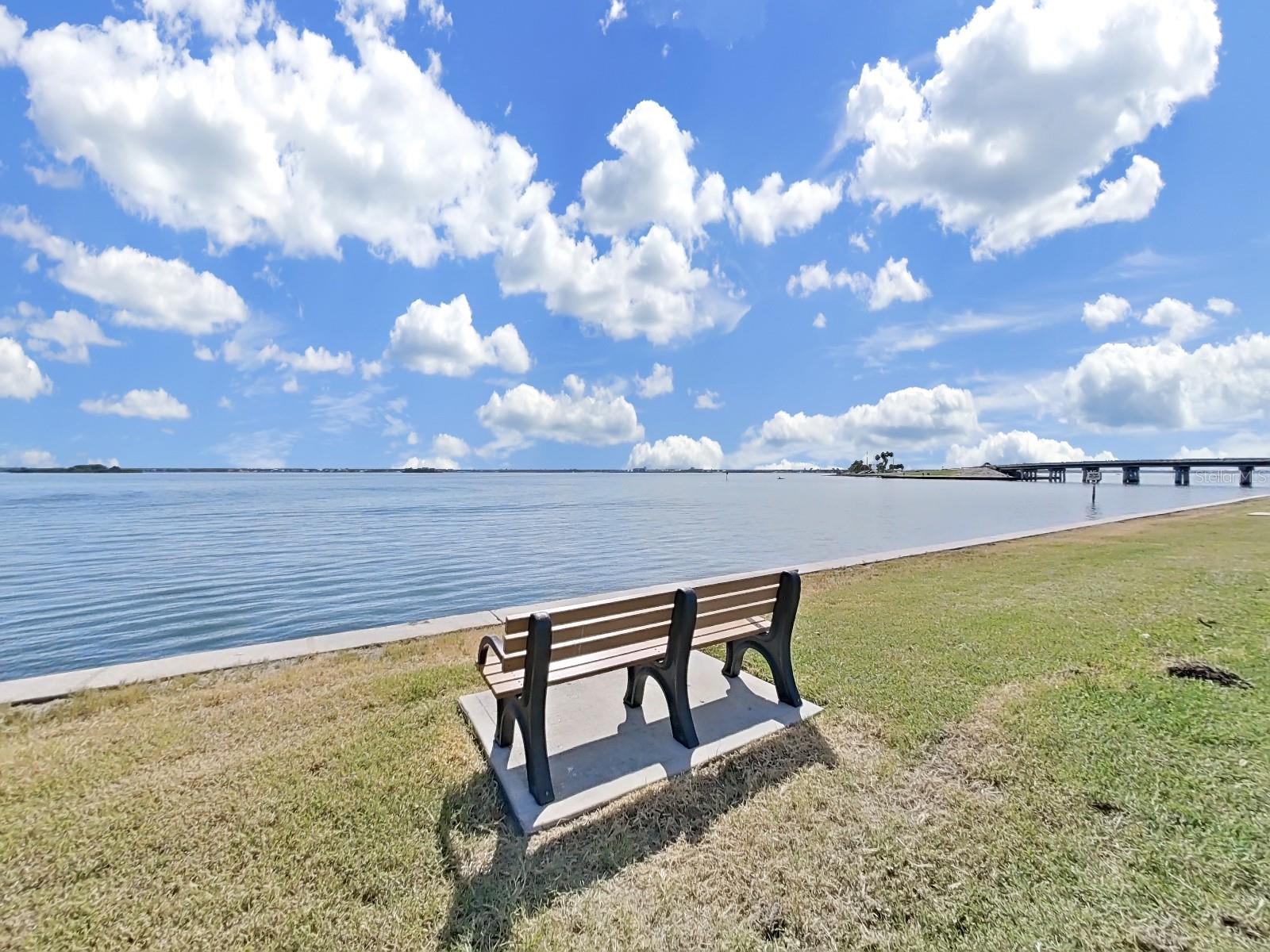 8 GLENCOE PL #208, DUNEDIN, FL, 34698