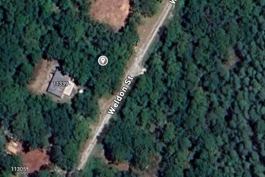 WELDON ST, NEW PORT RICHEY, FL, 34654