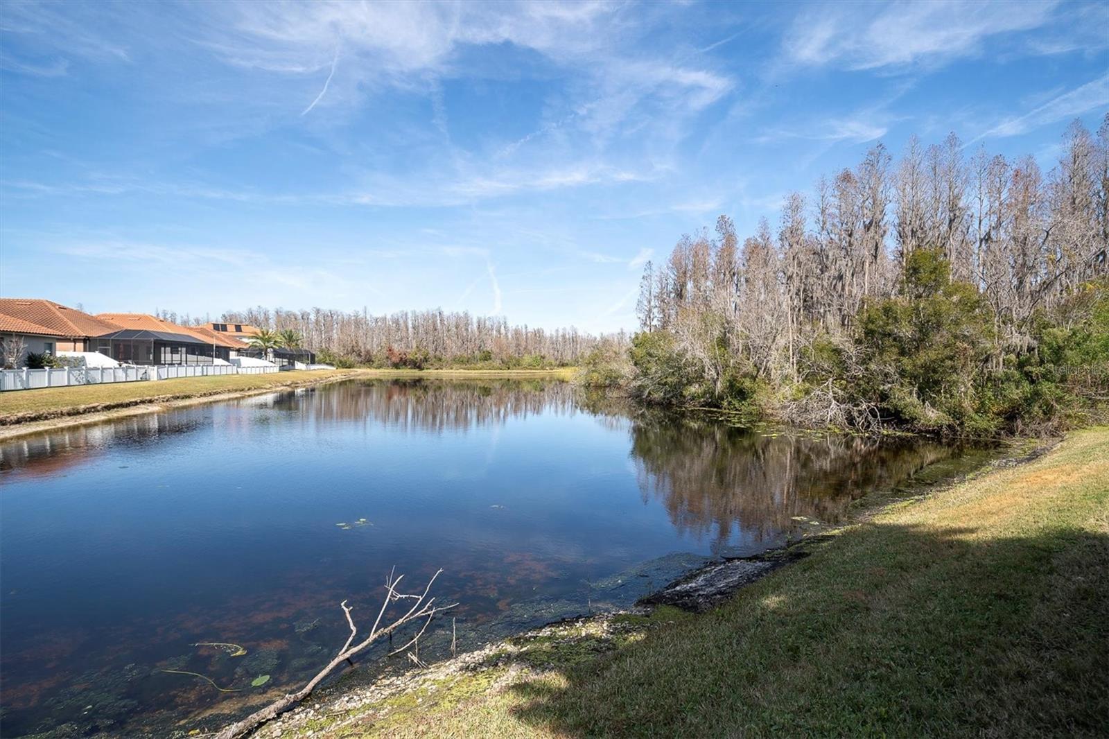 19208 WEYMOUTH DR, LAND O LAKES, FL, 34638