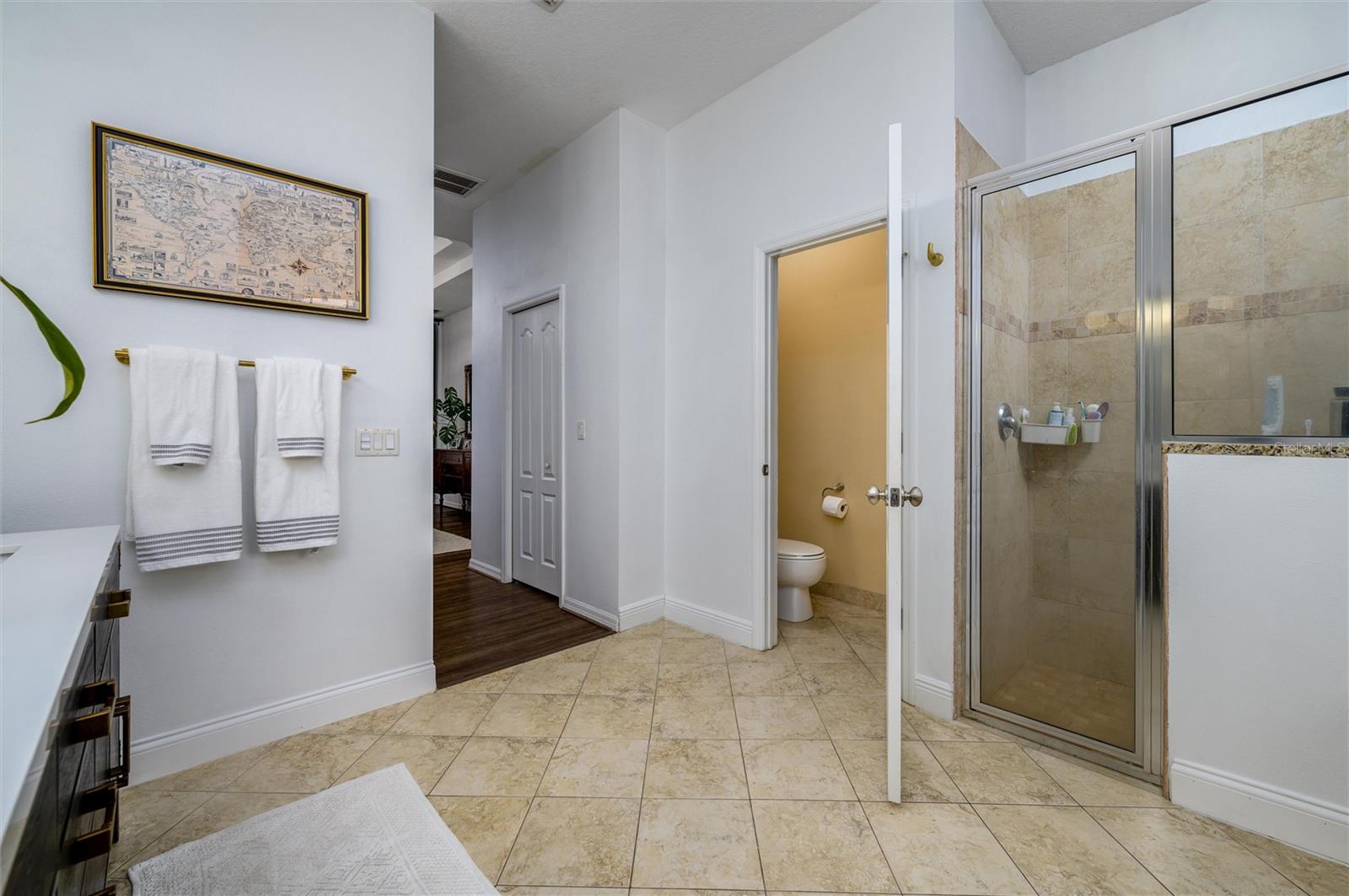 8131 SPRING FOREST LN, WESLEY CHAPEL, FL, 33544